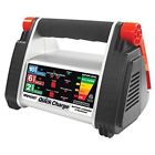 049538075319 Rally 10 Amp Quick