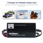 1025 Tenergy 6v-12v Universal Battery 885420227714