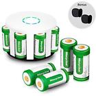 2012005 Camcorder Rechargeable Batteries And Charger For 697691170039