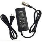 294v2arca Output Ebike Lithium Battery Pack Charger 644436852163