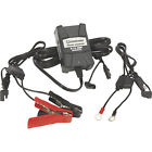 6031a Strongway Smart Battery Volt Amp 693645016316