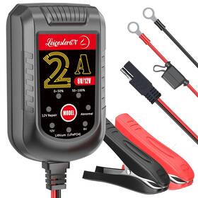 Leicestercn 765147772295 2a Car Battery Charger 12v/6v Smart Maintainer Tri