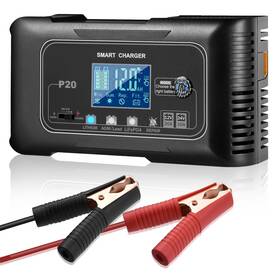 P20-001 Lierhyt 20 Amp Car Battery Charger 12v And 24v Lifepo4 Agm/sla/gel/