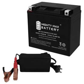 Ytx20-bs12v334 Mighty Max Battery Ytx20-bs Replaces Arctic Cat 600 Alterra 22-24 12v 4amp Charger
