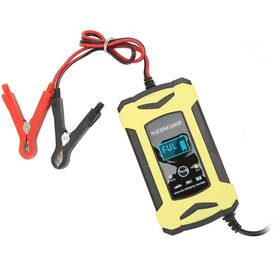 Natudeco30f5yr94ag-11 Natudeco Battery Charger Intelligent With Cooling Fan High Low Freque