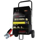 Se-2352 Schumacher Chrg Batt 2-12hr 026666706759