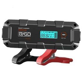 Bygd-1 Secureelastic F6000 Smart Battery Charger Maintainer - 8-stage 6v/12v Car