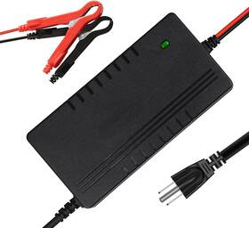 Utffedy 445005599587 Lithium Lifepo4 Battery Charger 24v 29.2v 10a Iron Phosphate Multi