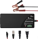 Ultrapower Upgraded 10-AMP Battery CHARGER,14.6 Volt Lithium LIFEPO4 Black. Fixed Price $61.85.