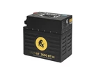 Lion Energy UT-1300BT-H Battery High-grade Lithium Iron Phosphate W/ Built-in. Fixed Price $1648.99.