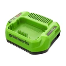 Greenworks 60V 3A Standard Battery Charger 2936902. Fixed Price $59.99.