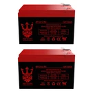 RAD2GO Zz Cruiser 12V 12AH Electric Scooter Battery By Neptune - Pack. Fixed Price $53.99.