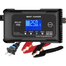 25-AMP Car Battery Charger,trickle Charger,maintainer/deep Cycle CHARGER,12V/25A. Fixed Price $53.19.