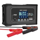 Rcgcbc 0-20A Battery Charger 12V 24V LIFEPO4 Lead Acid Agm Pulse Repair. Fixed Price $89.99.
