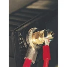 Battery Doctor 30300 Bolt, Brass, Positive/negative. Fixed Price $7.19.