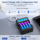 Pallus 1.5V Rechargeable Lithium Aa Batteries Blink Camera Doorbell Battery Lot. Fixed Price $40.79.