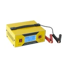 6/8/12/14/16/24V Battery Charger Automotive 0-10A, Smart Golf Cart Batter.... Fixed Price $37.56.