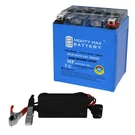 Mighty Max YTX7L-BS Gel Replaces Yamaha 200 SXR2 Sno-scoot 19-24 + 12V 1A Chrgr. Fixed Price $39.99.
