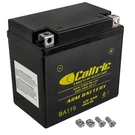 Caltric Agm Battery YTZ8V For Honda Rebel CMX300 / Abs 2017 2018-2025. Fixed Price $35.00.