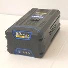 Genuine Kobalt 5AH KB580-06 80V Max Lithium Ion Outdoor Power Tool Battery. Fixed Price $245.00.