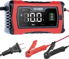 12V/24V Smart Battery Charger 10A Lithium Lead Acid Maintainer Repair Lcd. Fixed Price $26.95.