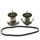 Engine Coolant Thermostat-heavy Duty Motorad 716-200. Fixed Price $35.19.