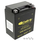 Agm Battery For Honda NX125 NX250 1988 1989 1990. Fixed Price $34.00.
