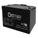 Mighty Max 12V 100AH Sla Agm Battery For Suntech Solar Panels. Fixed Price $169.99.