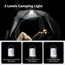 Flextail Portable Air Pump, Mini Camping With Light, Usb-c Charging, Ideal. Fixed Price $52.00.