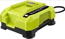 Ryobi OP406VNM 40V Lithium-ion Rapid Battery Charger. Fixed Price $121.93.