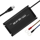 Litime 58.4V 10A Smart Lithium Battery Charger For 48V 51.2V LIFEPO4 Batteries. Fixed Price $169.99.