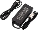 Charger For Lithium Battery Output 2A Input 100-240 Vac 10S Green. Fixed Price $34.98.