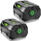 Pack Ah Lithium Ion Battery For Ego 56V Power+ BA2800T BA4200 BA1400 BA1120. Fixed Price $118.99.
