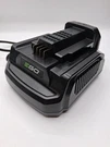 Ego Power+ CH2100 120V 60HZ 210W Lithium-ion Battery Charger Tested. Fixed Price $29.95.