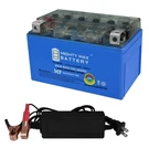 Mighty Max YTZ10S Gel Battery Replaces Kawasaki Z500 24 + 12V 2AMP Charger. Fixed Price $54.99.