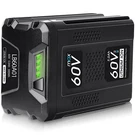 5.0AH For Greenworks Pro 60V Max Lithium Ion Battery LB60A03 LB60A02 LB60A00 New. Fixed Price $86.98.