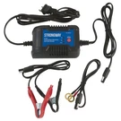 Strongway 6/12 Volt Battery Maintainer. Fixed Price $24.99.