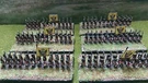 6MM Napoleonic Austrian Infantry, Baccus Booster Pack. Fixed Price $161.35.