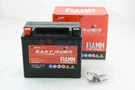 Fiamm Vrla Agm 12V 10AH 180A Starter Battery For Moto Scooter Atv FTX12-12B. Fixed Price $46.22.