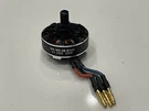 Walkera F210 Brushless Motor(ccw )(WK-WS-28-014A). Fixed Price $34.99.