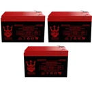 RAD2GO Sunbird 12V 12AH Electric Scooter Battery By Neptune - 3 Pack. Fixed Price $74.95.