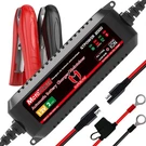 Motopower MP00207A 12V 2AMP Automatic Battery 4) Lithium-ion. Fixed Price $54.32.