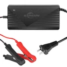 12V 20A/10A/5A Smart Fast Charger For Lithium Iron Phosphate (LIFEPO4) Battery. Fixed Price $45.99.
