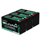 Everexceed 12V 8AH LIFEPO4 Battery 3000 Deep Cycles Lithium For. Fixed Price $112.05.