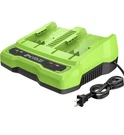 Greenworks 24V 4A Dual Port Charger 2961702 841821007867. Fixed Price $49.99.