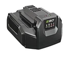 Ego Power+ CH2100 56-VOLT Lithium-ion Standard Charger. Fixed Price $49.98.
