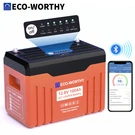 Eco-worthy 1280WH 12V 100AH LIFEPO4 Lithium Battery With Soc Display Bluetooth. Fixed Price $219.99.