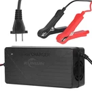 14.6V 20A LIFEPO4 Battery Charger For 12V Lithium Iron Phosphate. Fixed Price $42.99.