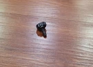 Dewalt Screw For DCP580 20V Max Brushless Planer N434189. Fixed Price $9.99.