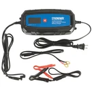 Strongway 12/24V Smart Battery Charger, 120V Input, 10A Max. Output, 3 Settings. Fixed Price $69.99.